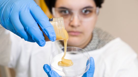 A Sydney scientist has turned to a favourite crumpet-topper to fights against antimicrobial resistance.