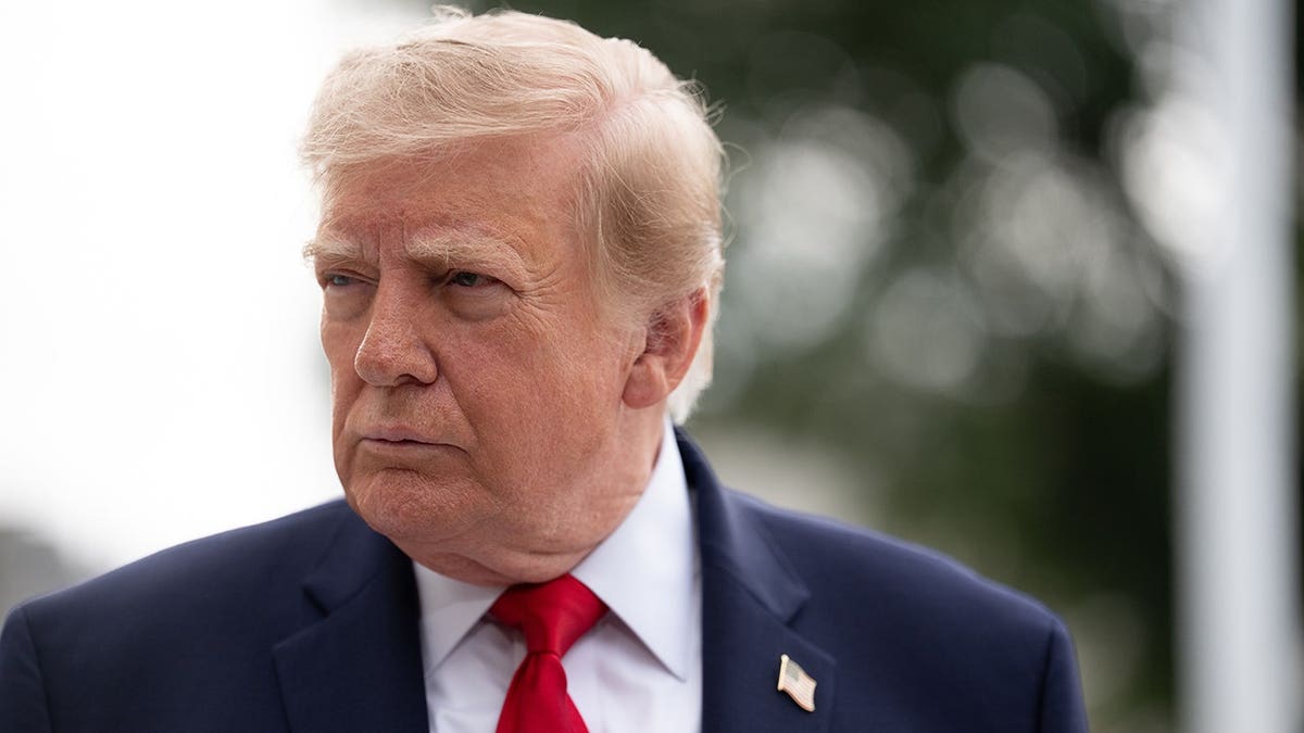 Donald Trump stands on the South Lawn of the White House.