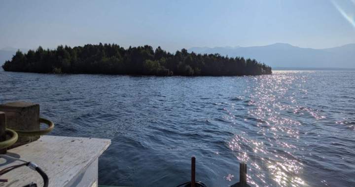 An island is floating around a B.C. reservoir — and it keeps disappearing An island is floating around a B.C. reservoir — and it keeps disappearing