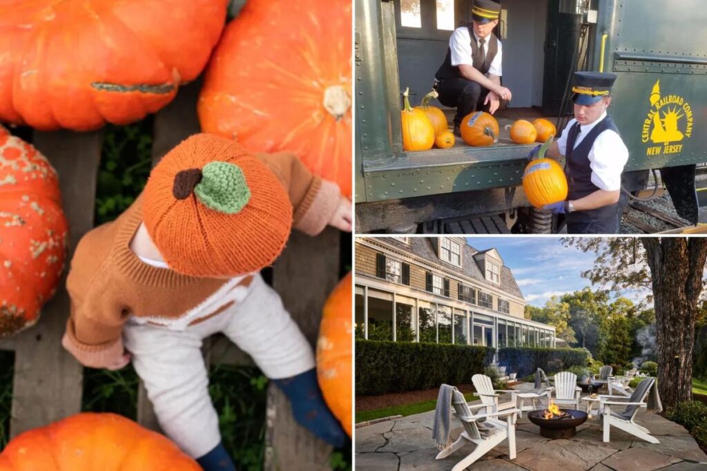 Country charms: You can’t beat a day out on the farm Country charms: You can’t beat a day out on the farm