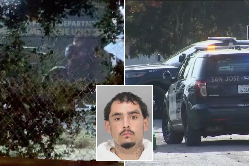 Serial killer fears as California man flags down cops and takes them to multiple bodies