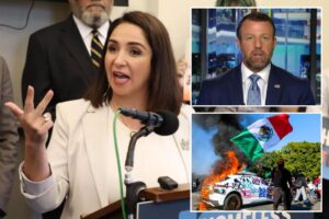 ‘Squad’ Democrat slammed by Trump admin for most ‘radical’ plan targeting ICE yet