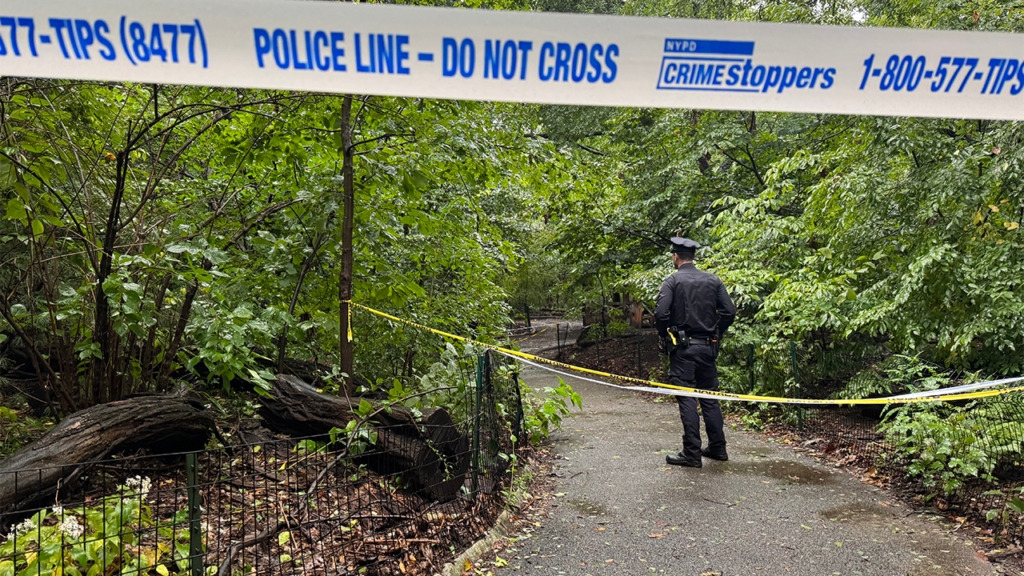 Woman found dead with unexplained trauma in Central Park as NYPD searches for answers