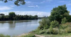 Winnipeg woman saves father and child from drowning: WPS